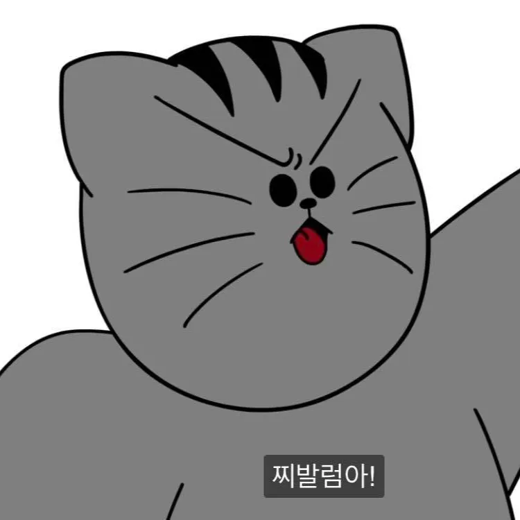 내사진