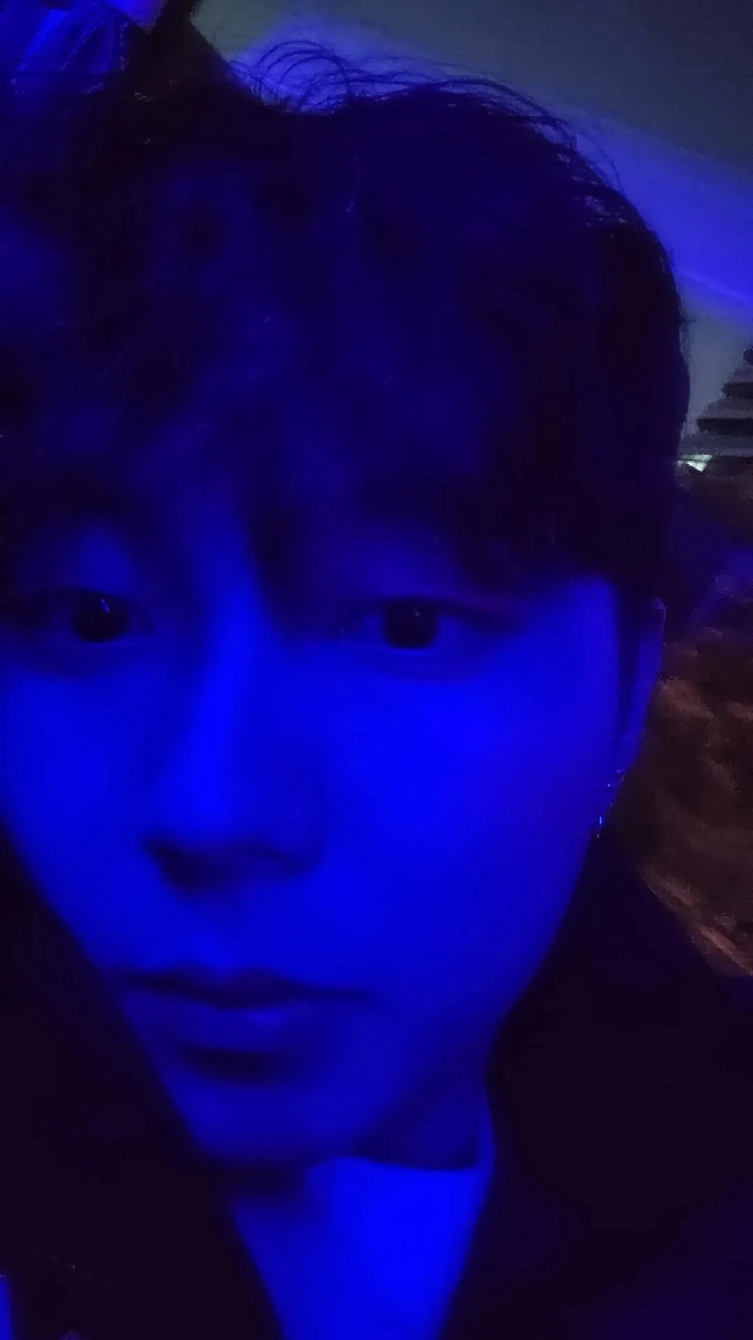 내사진