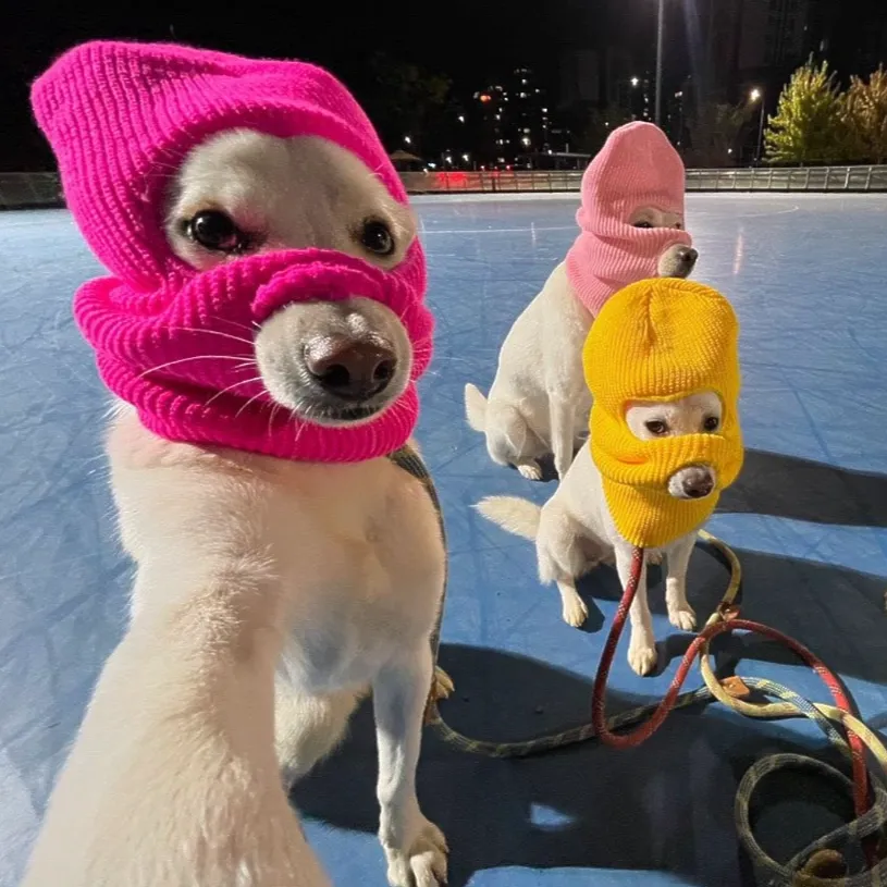 내사진