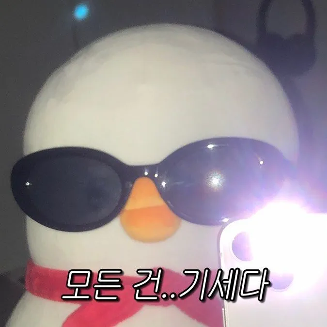내사진