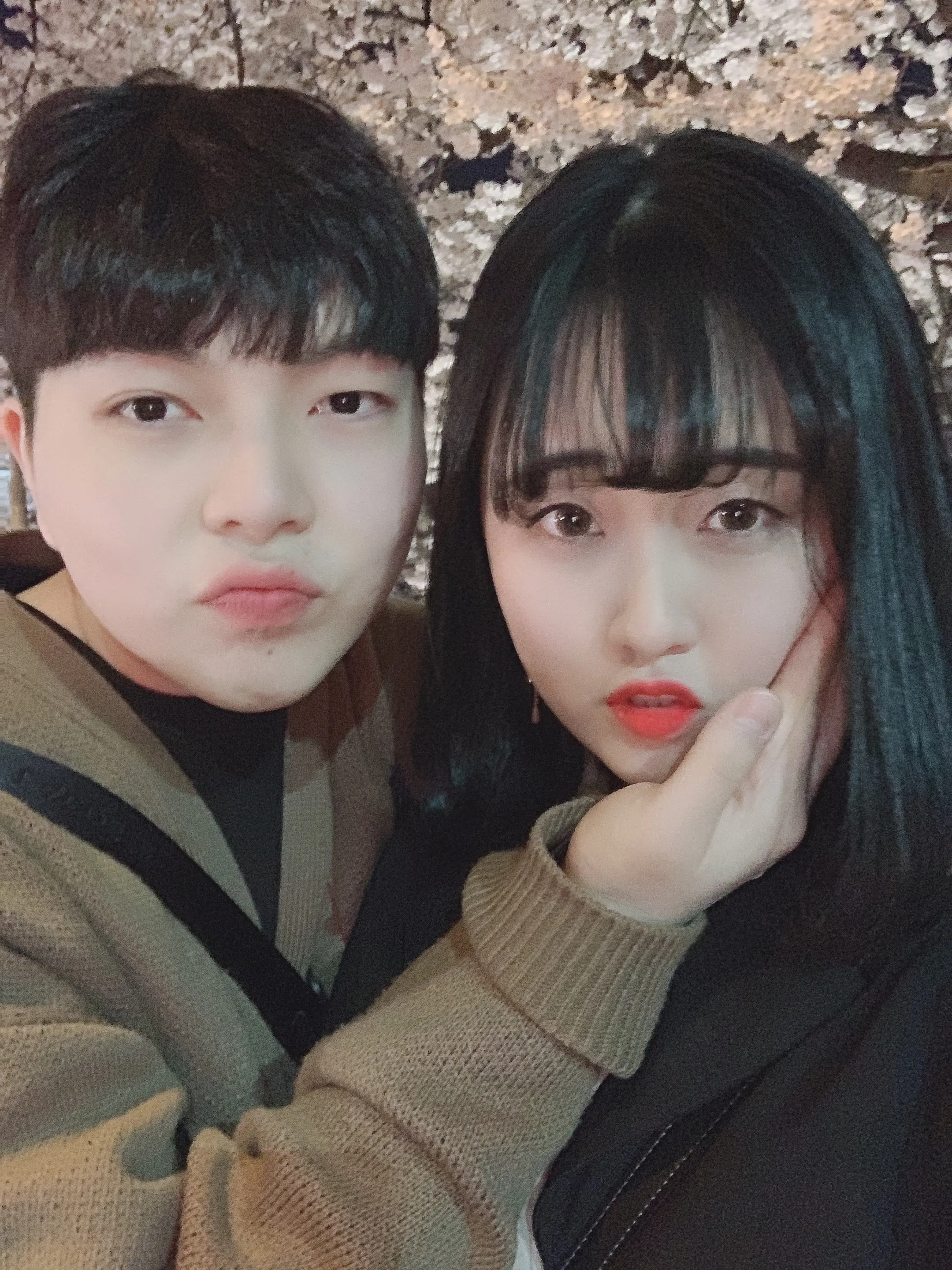 내사진