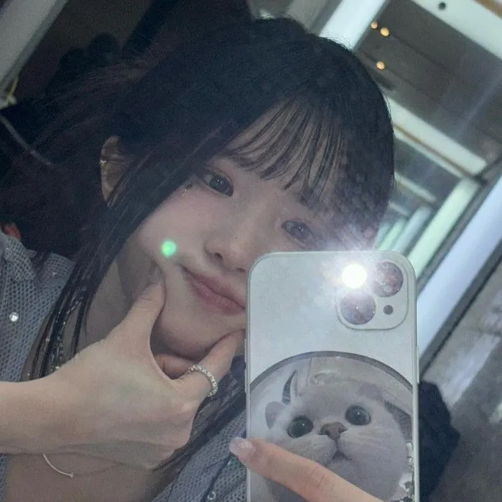 내사진