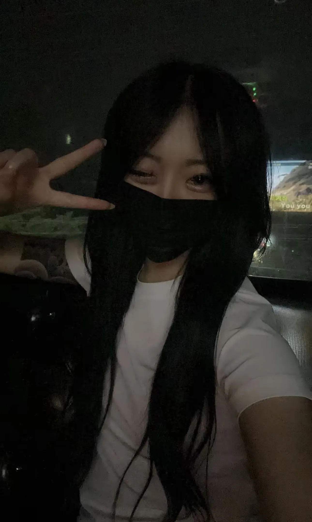 내사진