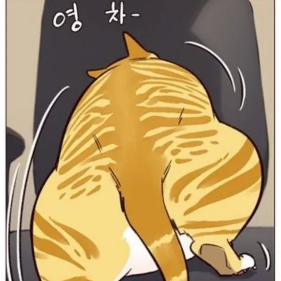 내사진
