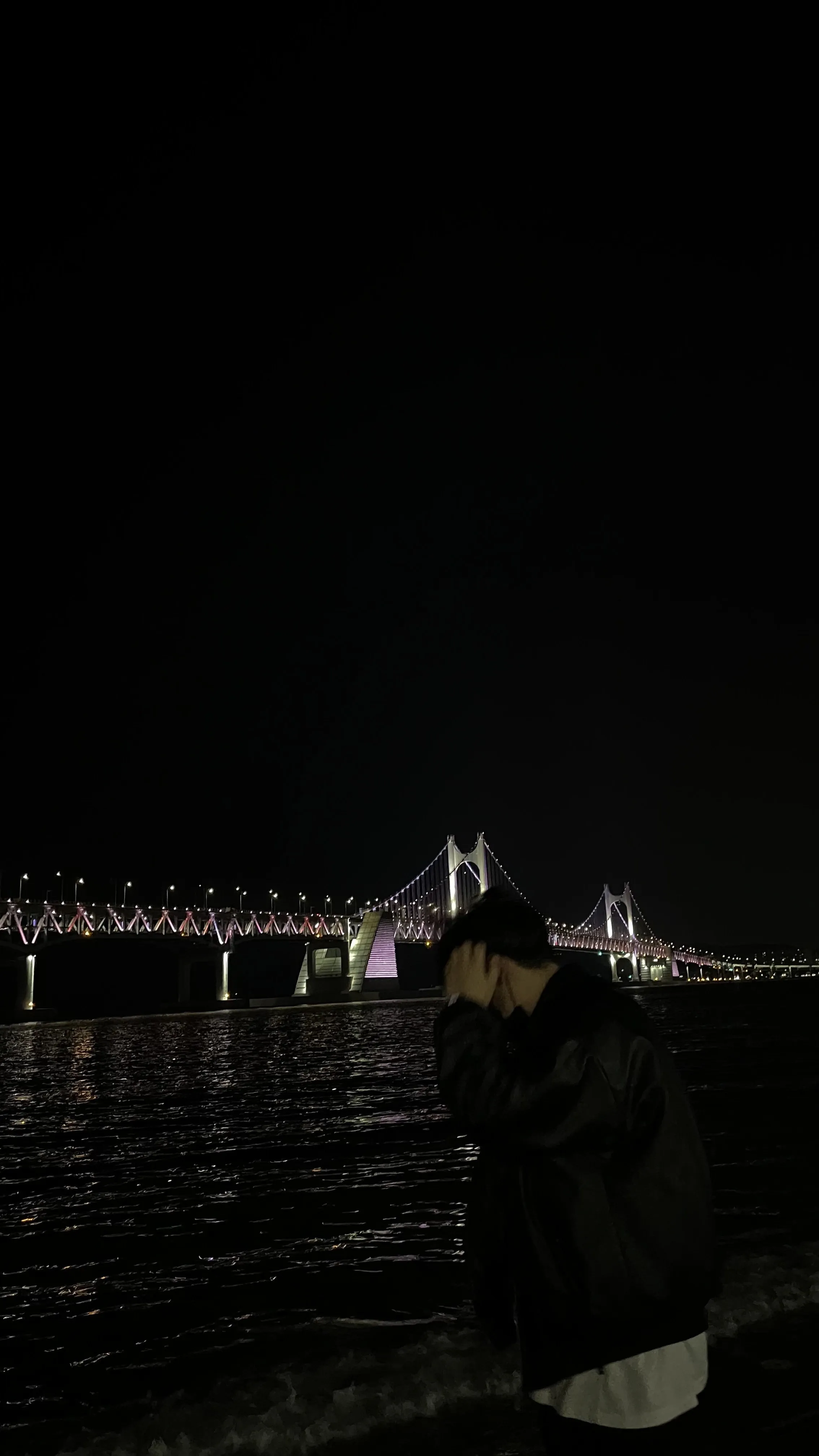 내사진