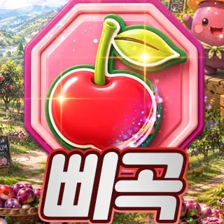 내사진
