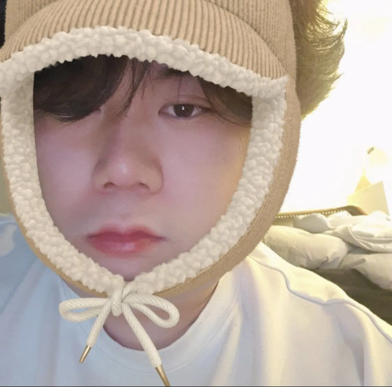 내사진