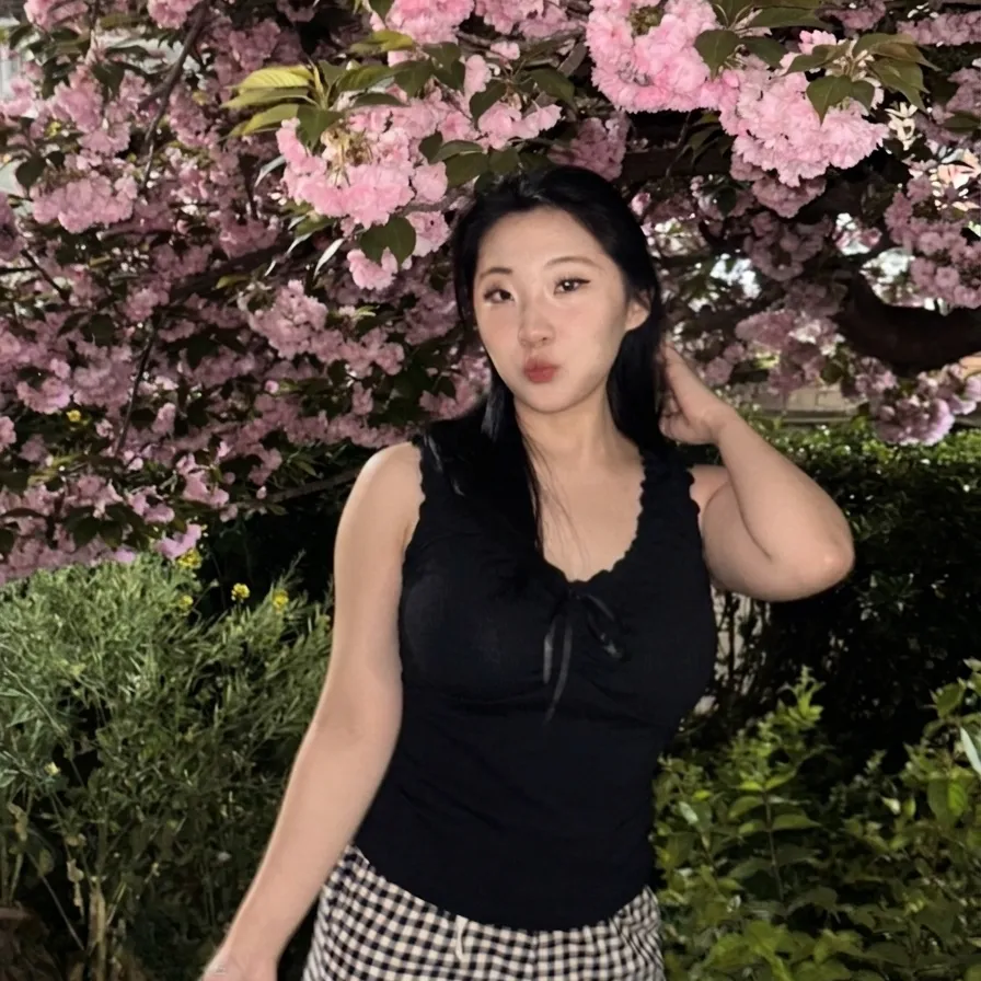 내사진