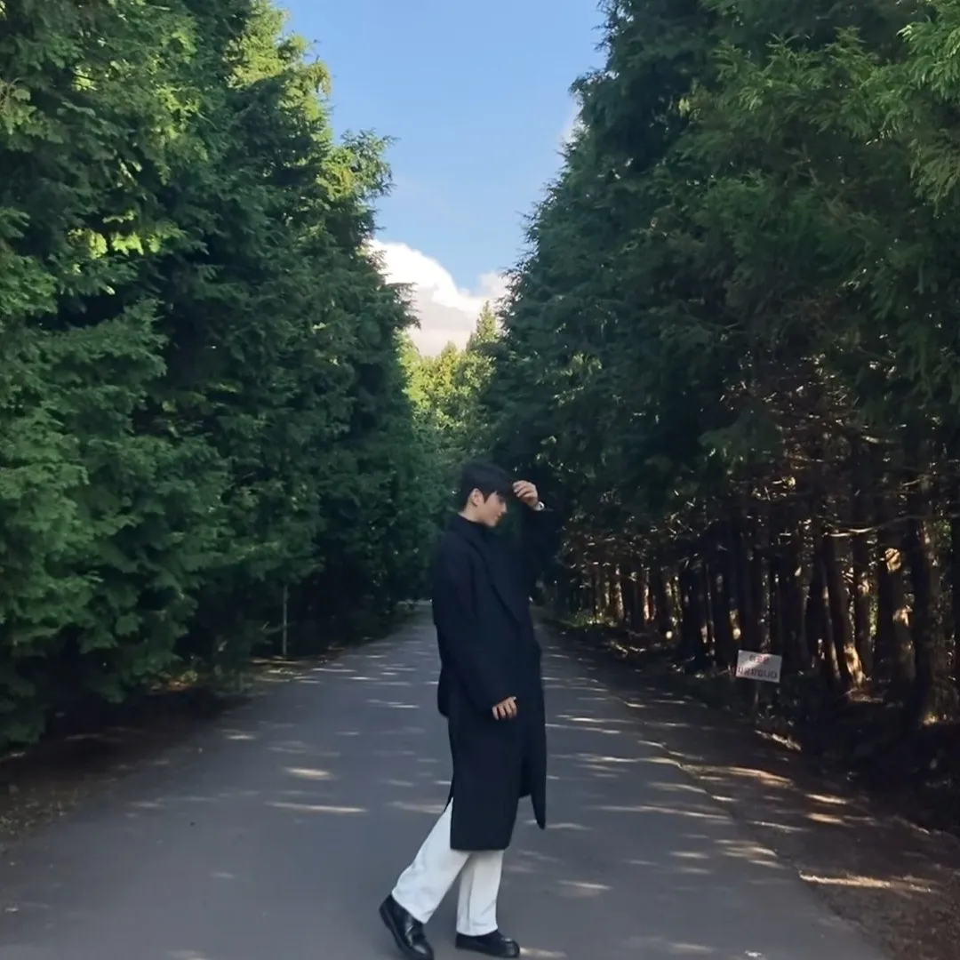 내사진