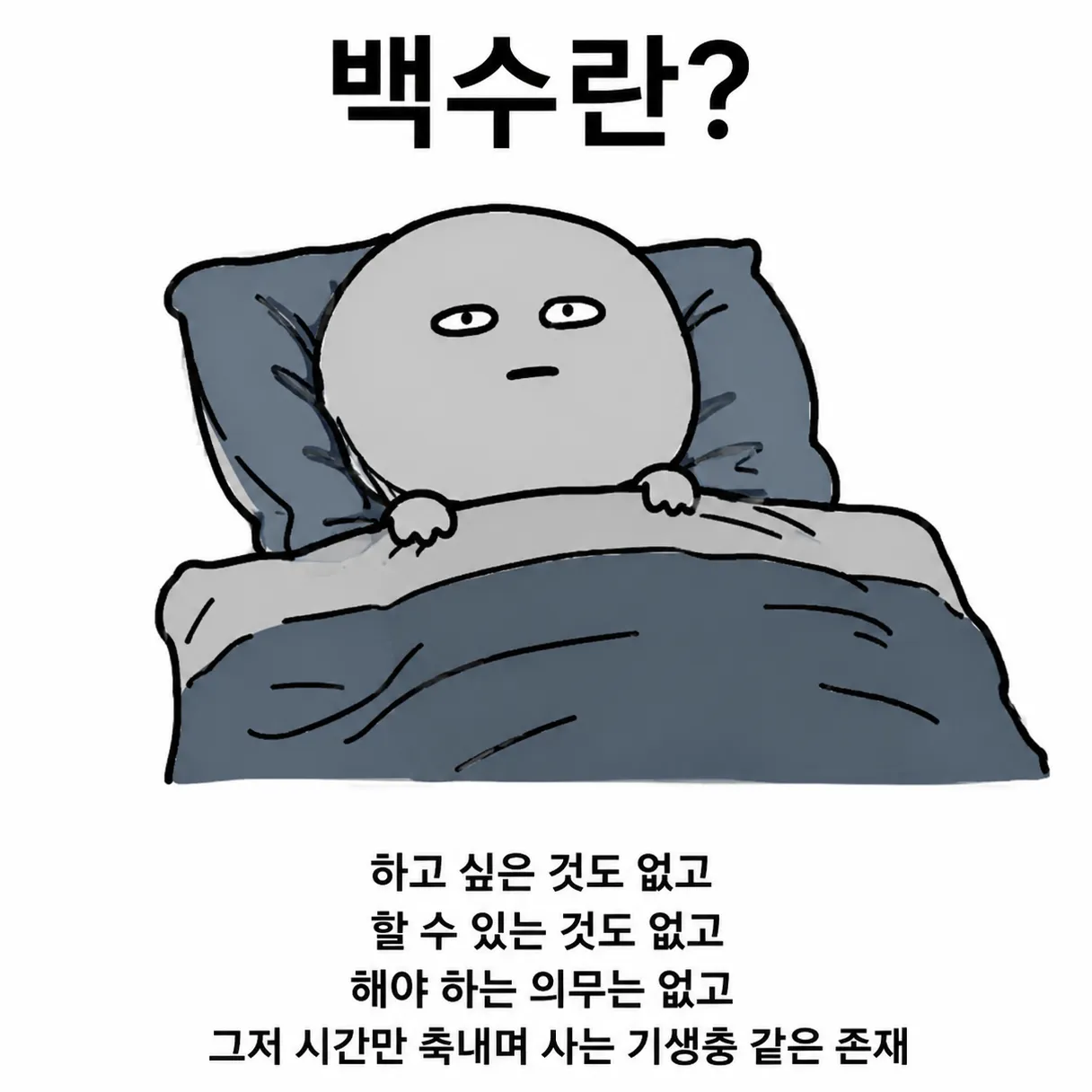 내사진