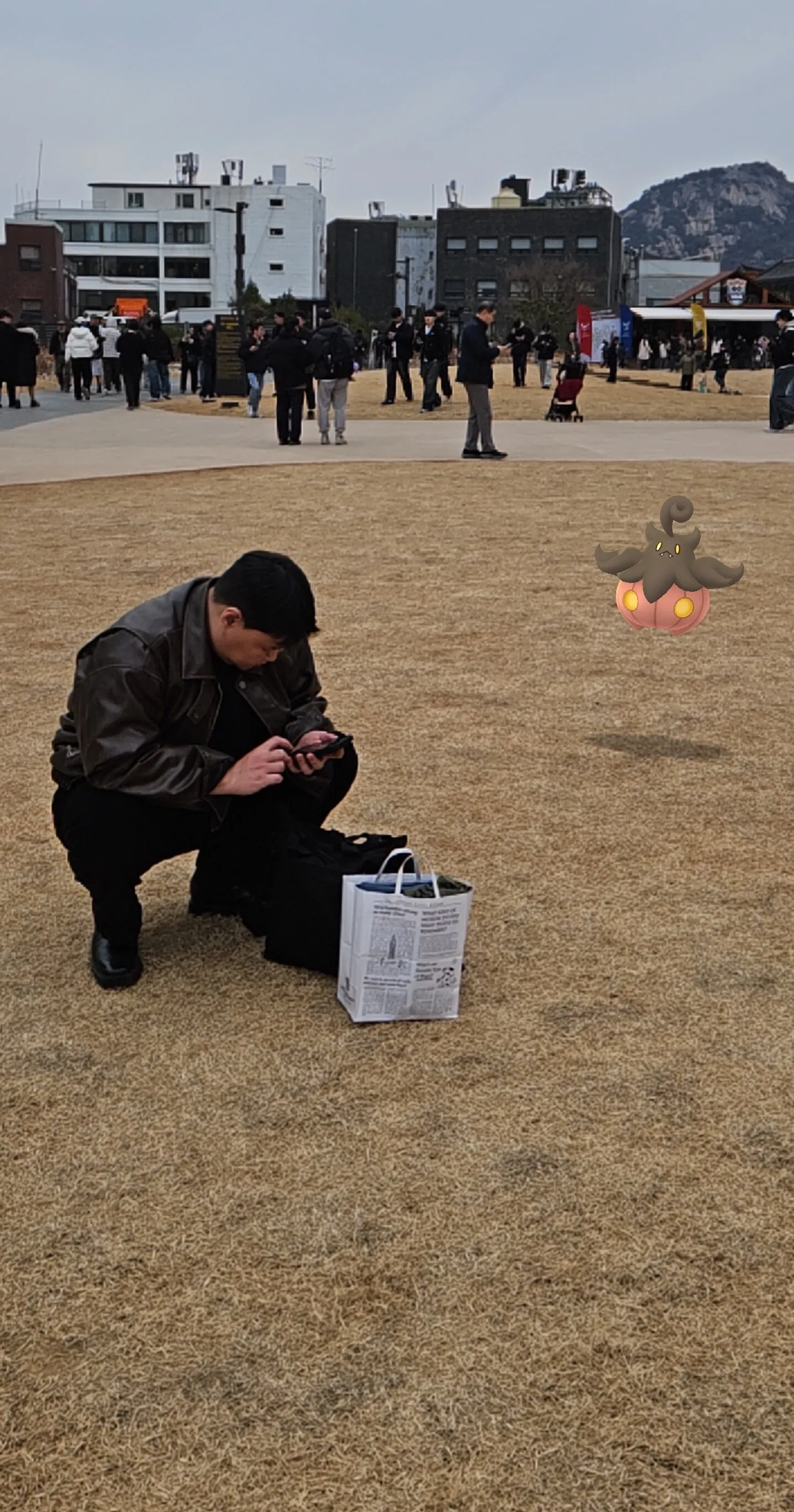내사진