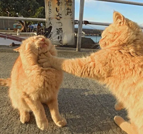 내사진