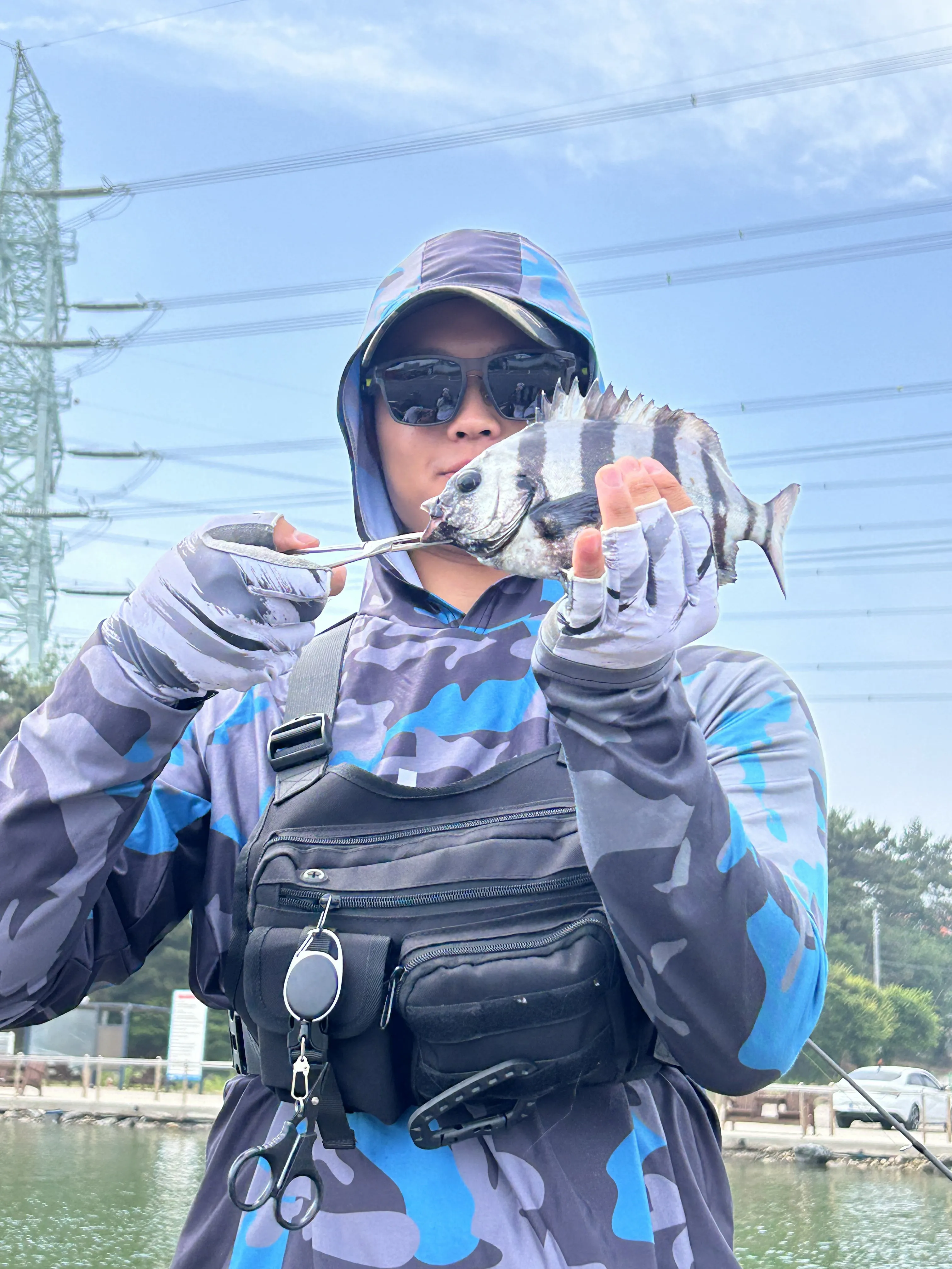 내사진