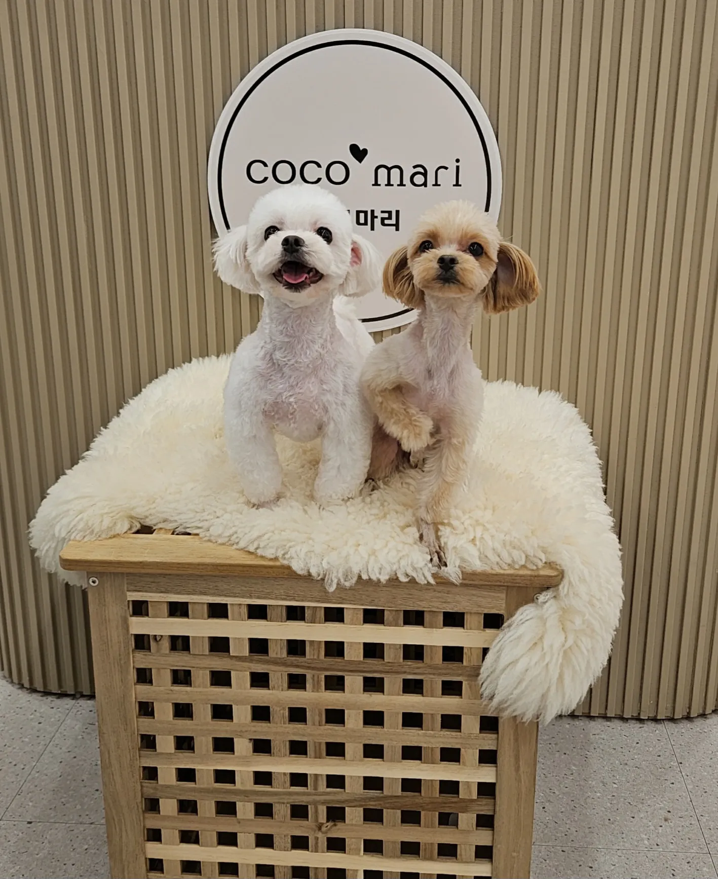 내사진