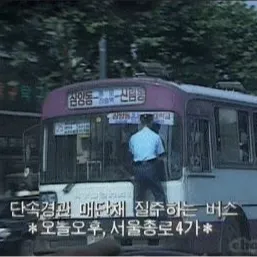 내사진