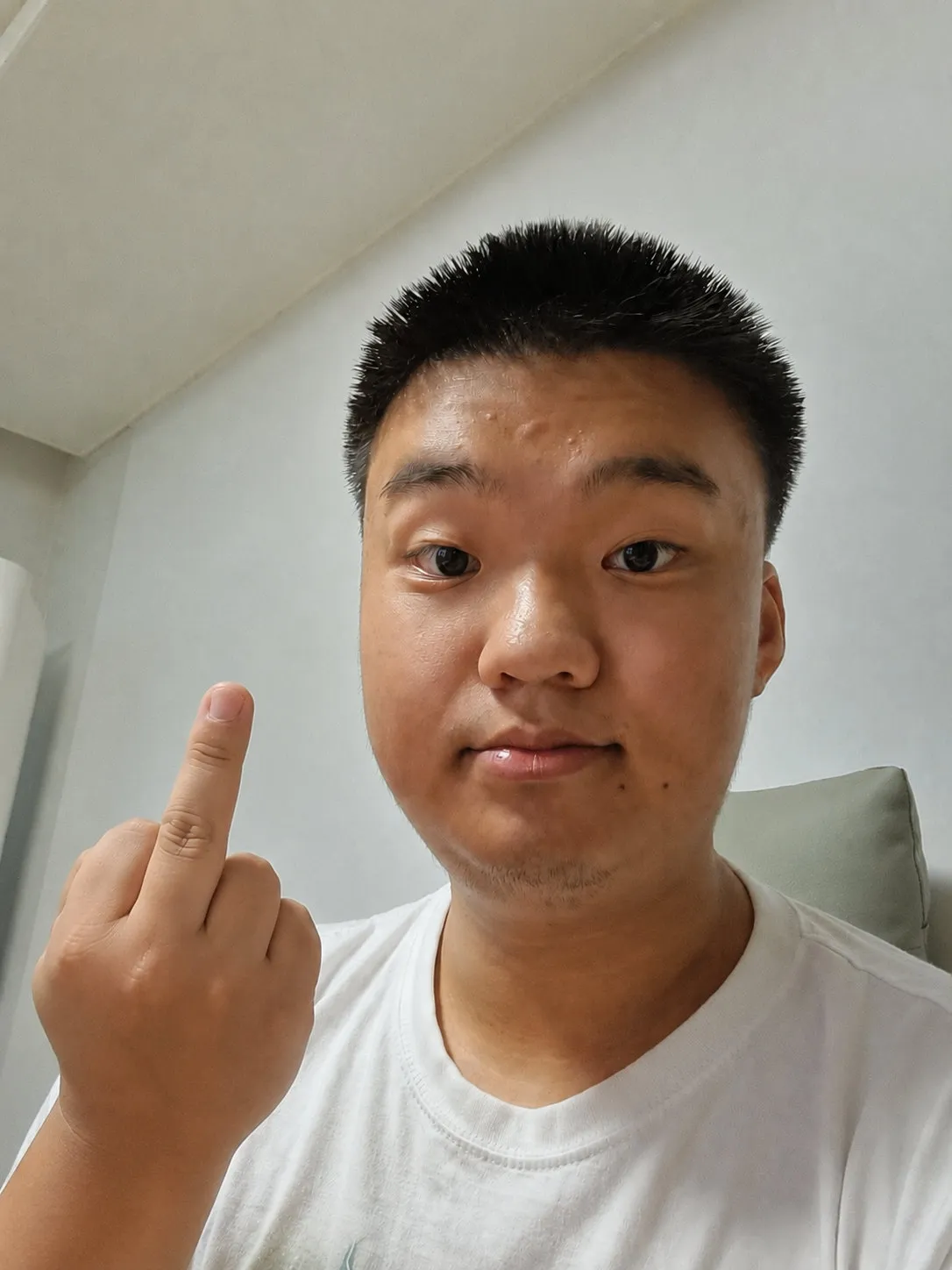 내사진