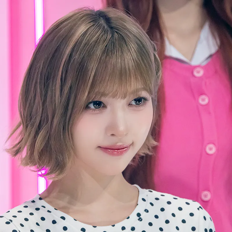 내사진