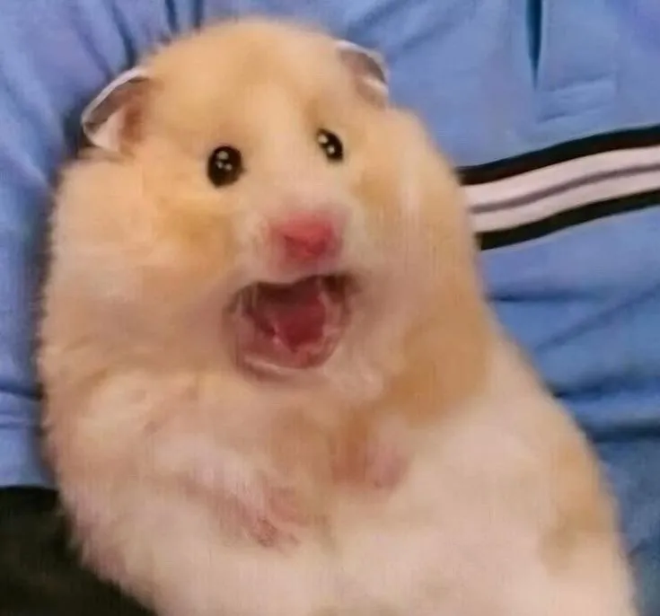 내사진