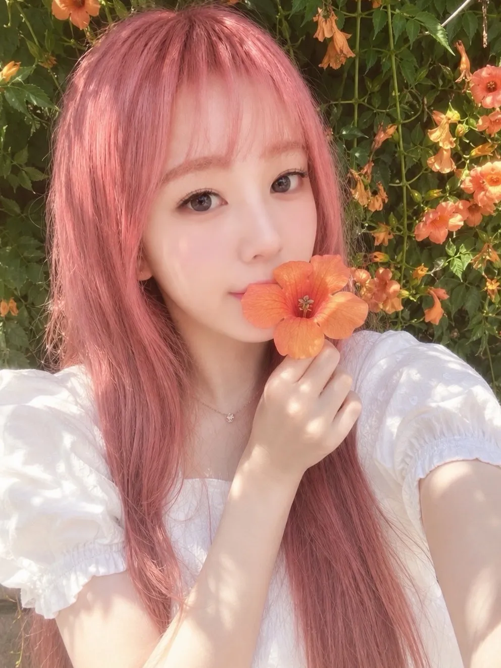 내사진