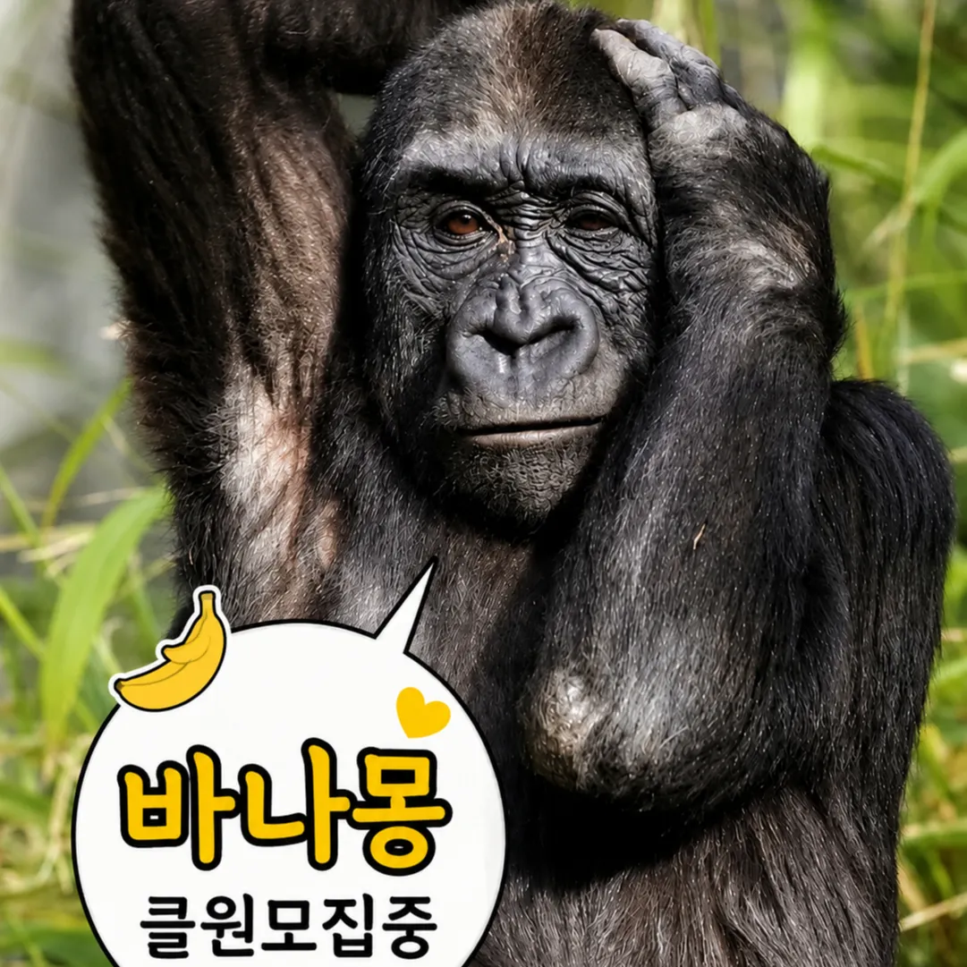 내사진
