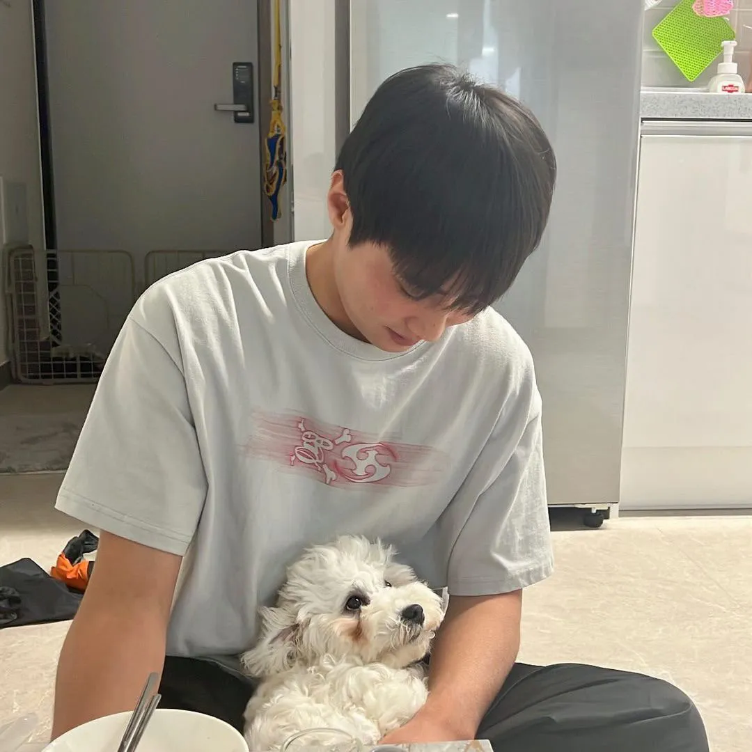 내사진