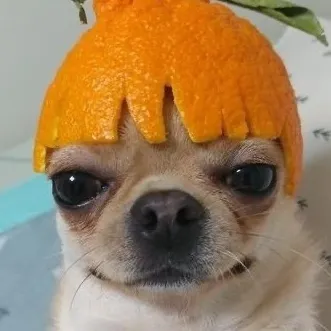 내사진