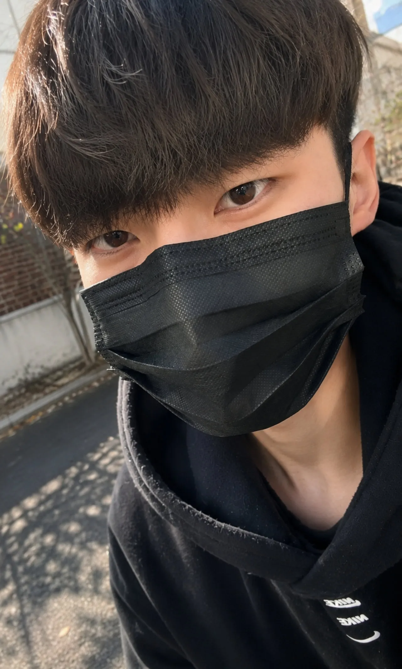 내사진