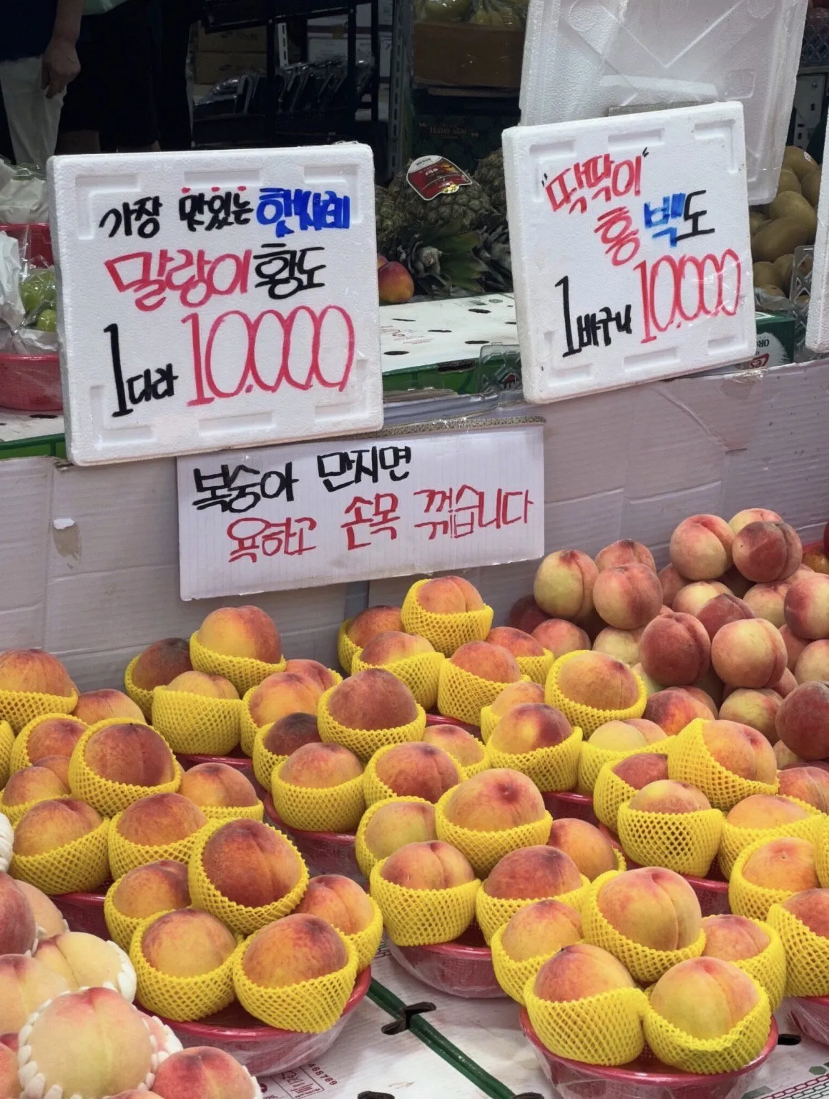 내사진