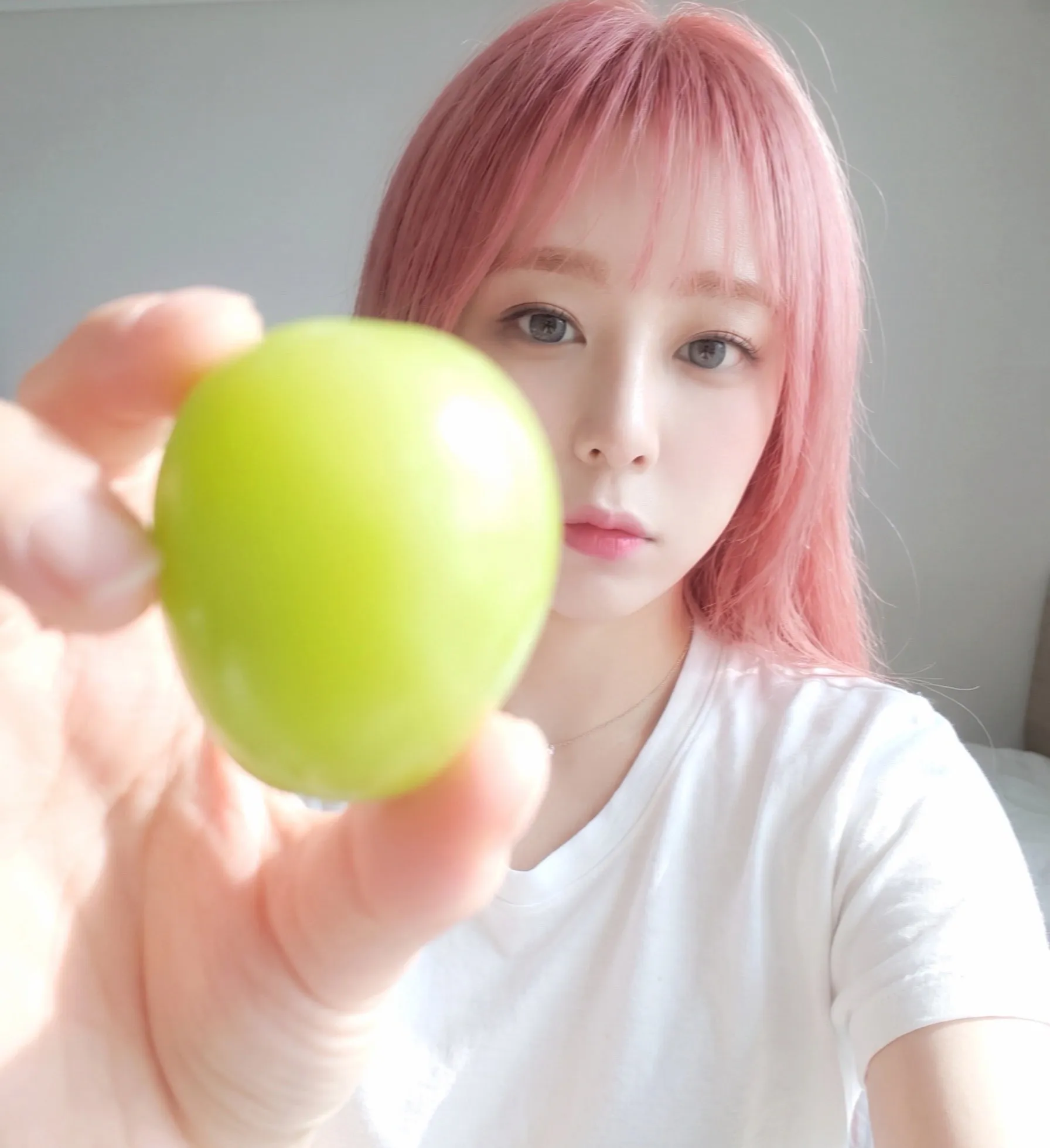 내사진
