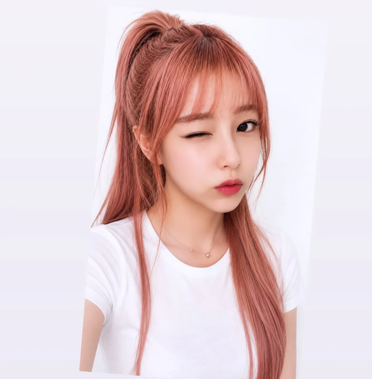 내사진