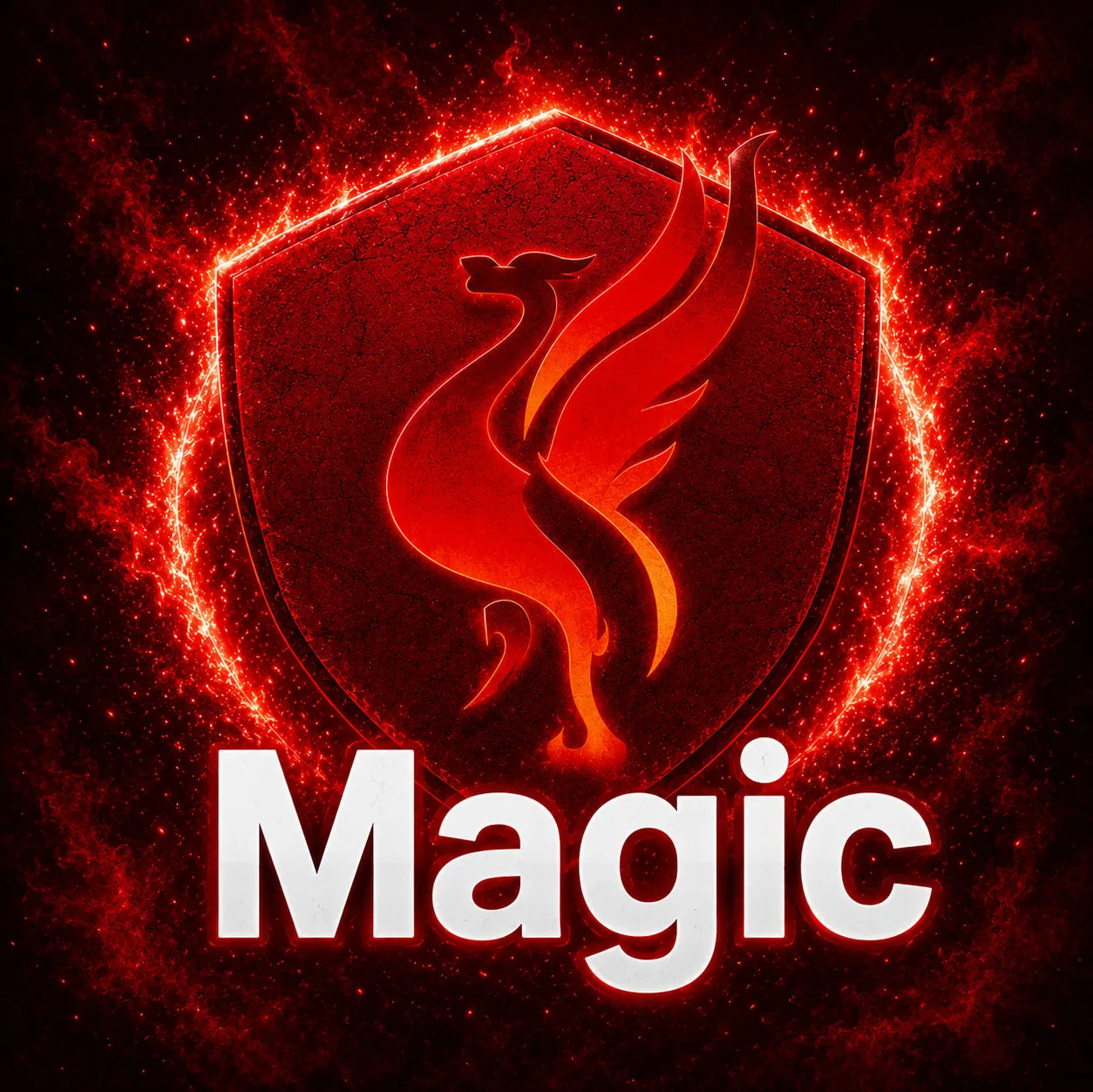 내사진