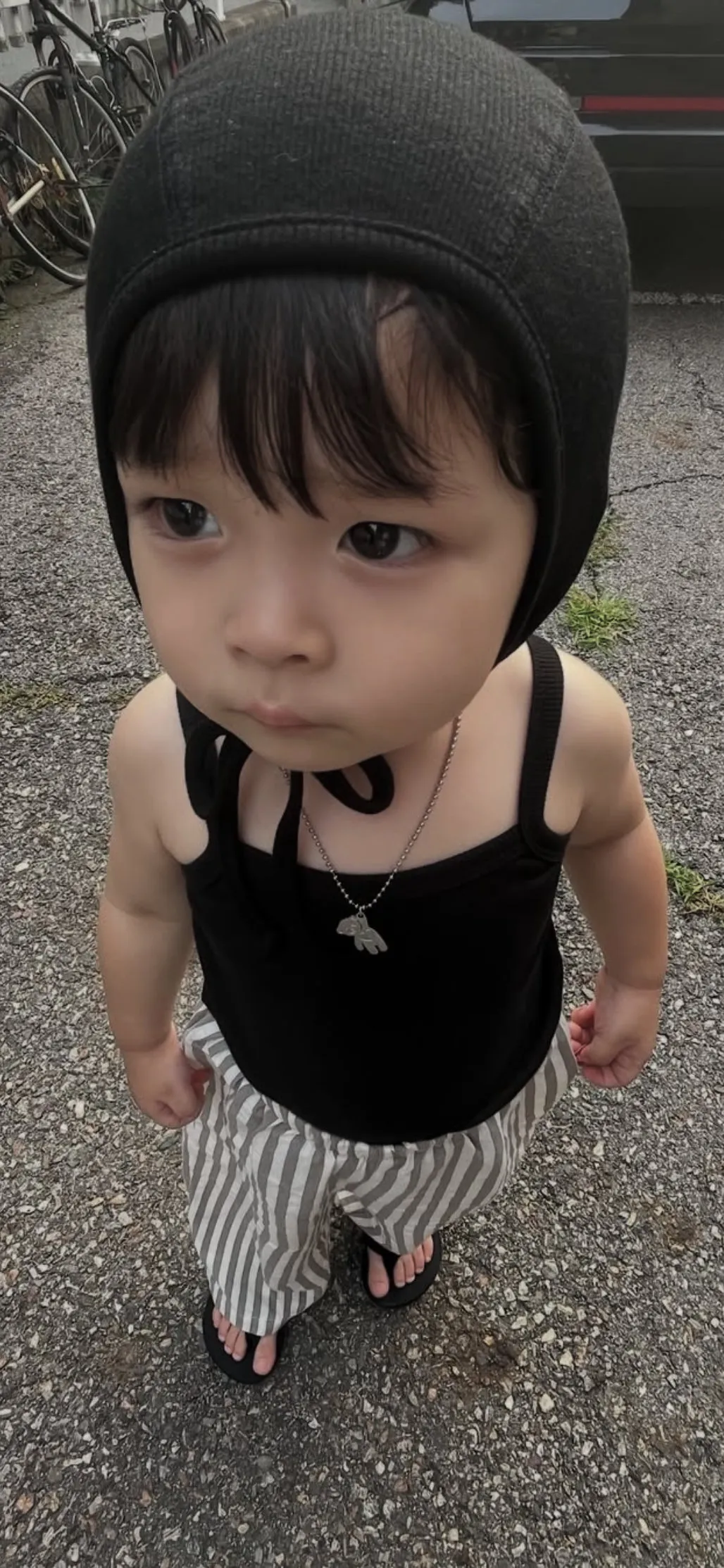 내사진