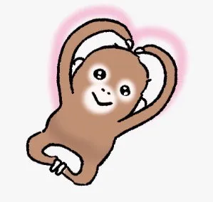 내사진