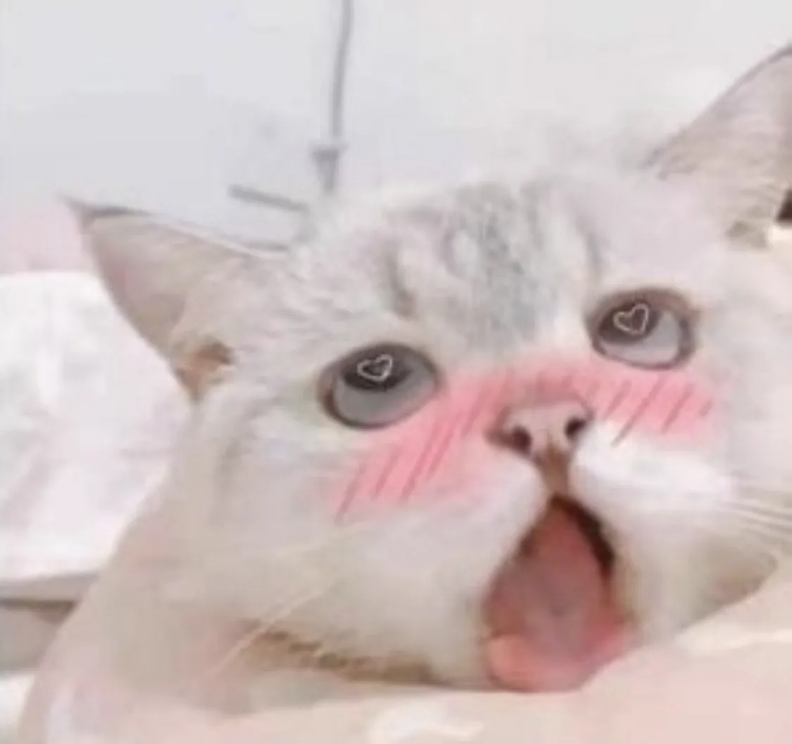 내사진