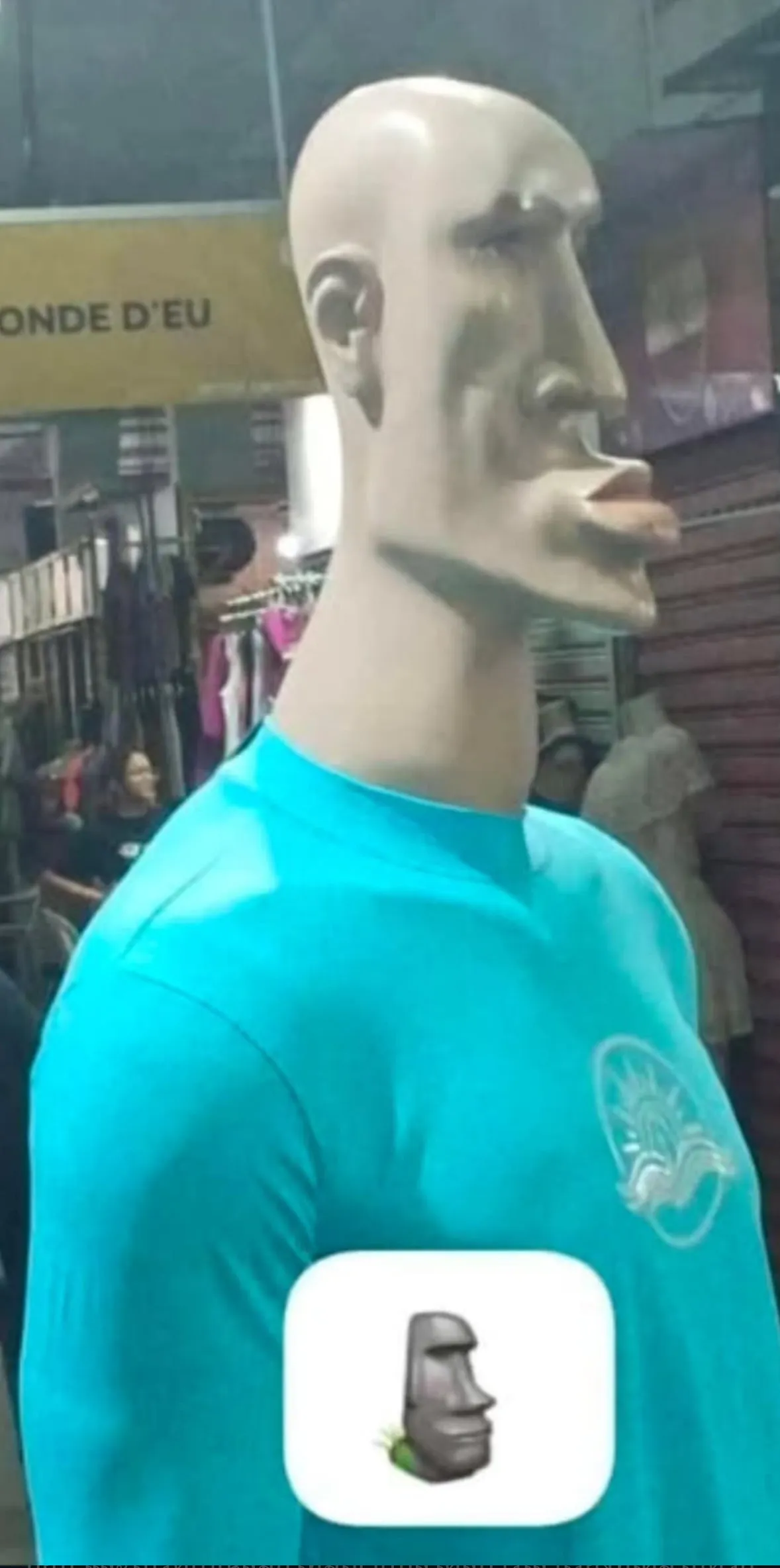 내사진