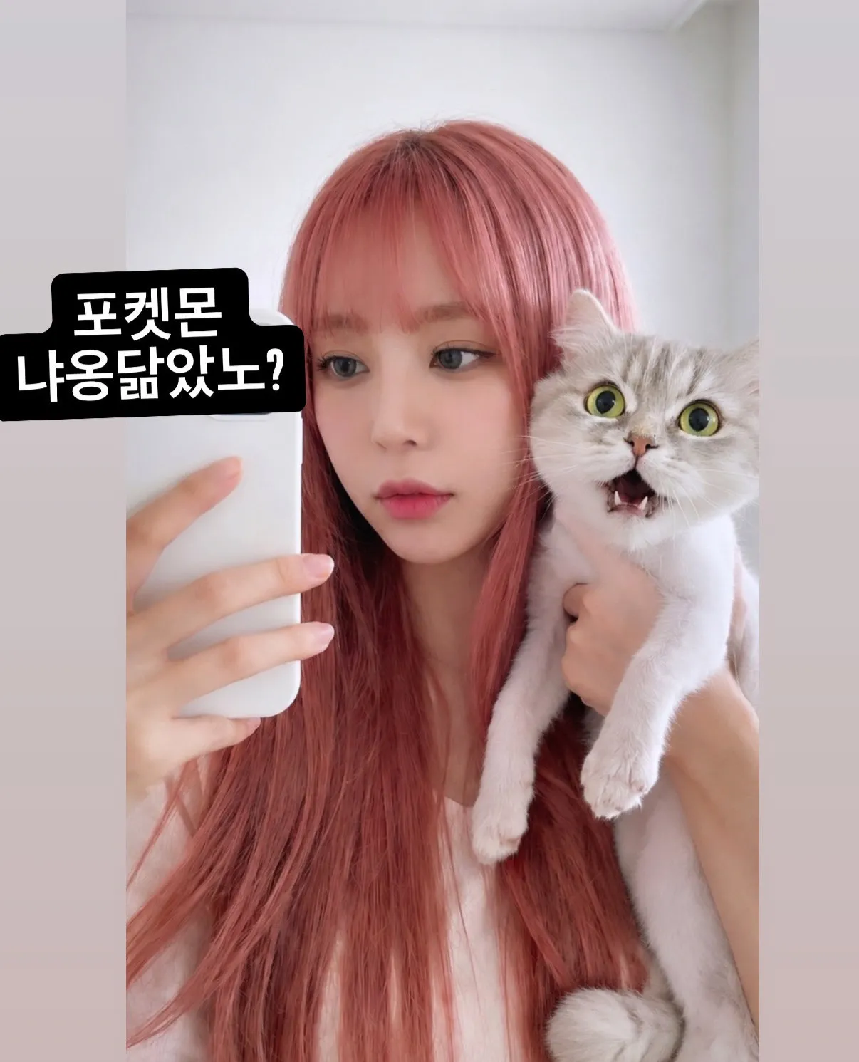 내사진
