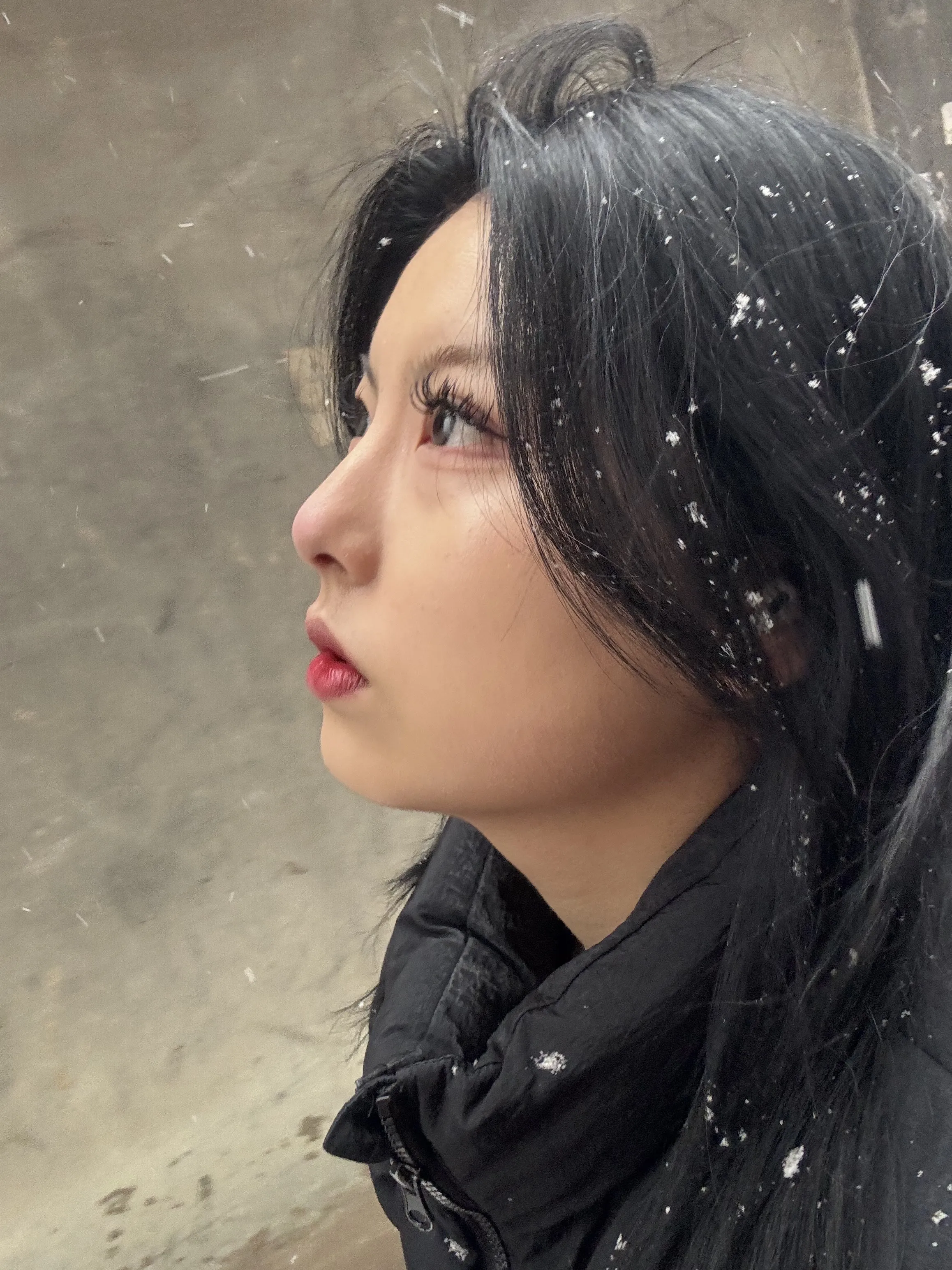 내사진