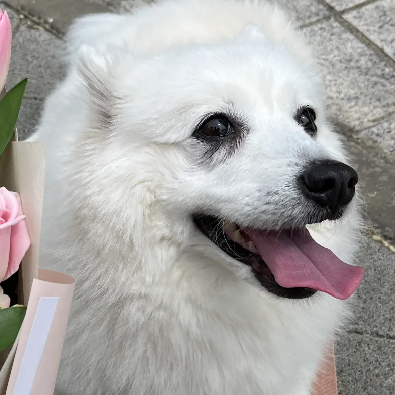 내사진
