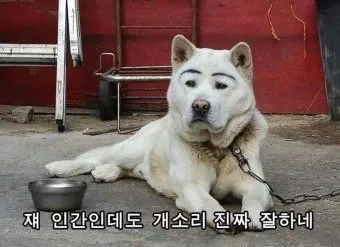 내사진