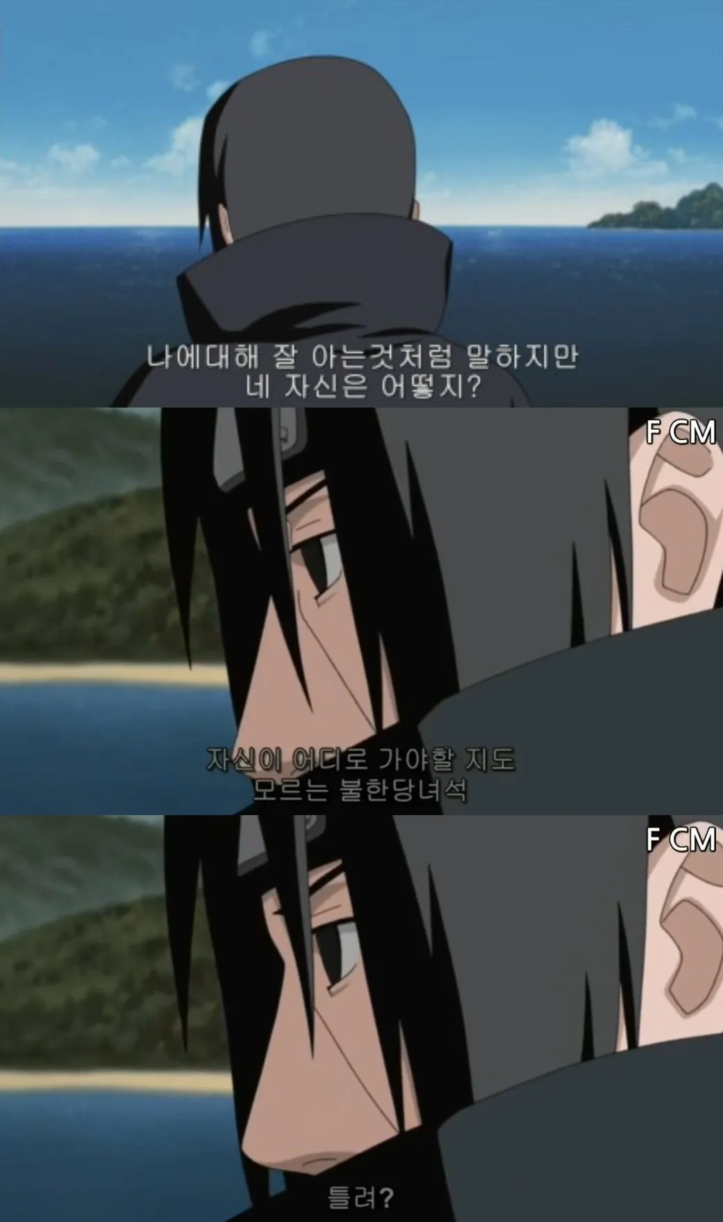 내사진