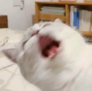 내사진