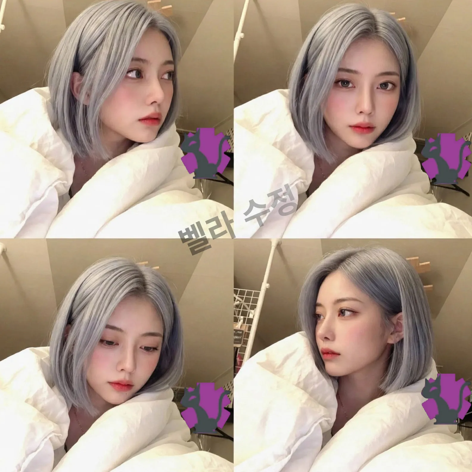 내사진