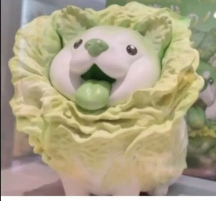 내사진