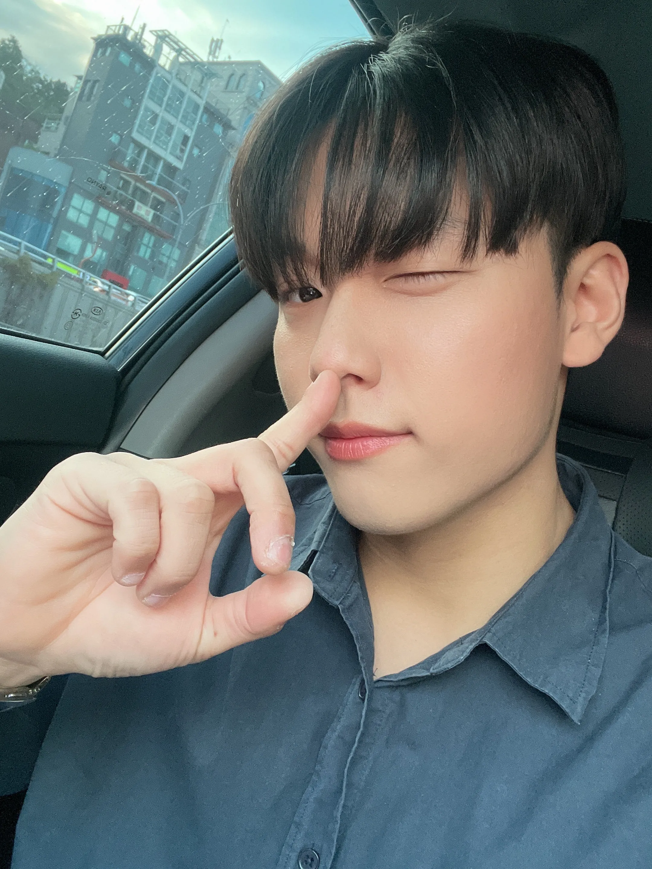 내사진