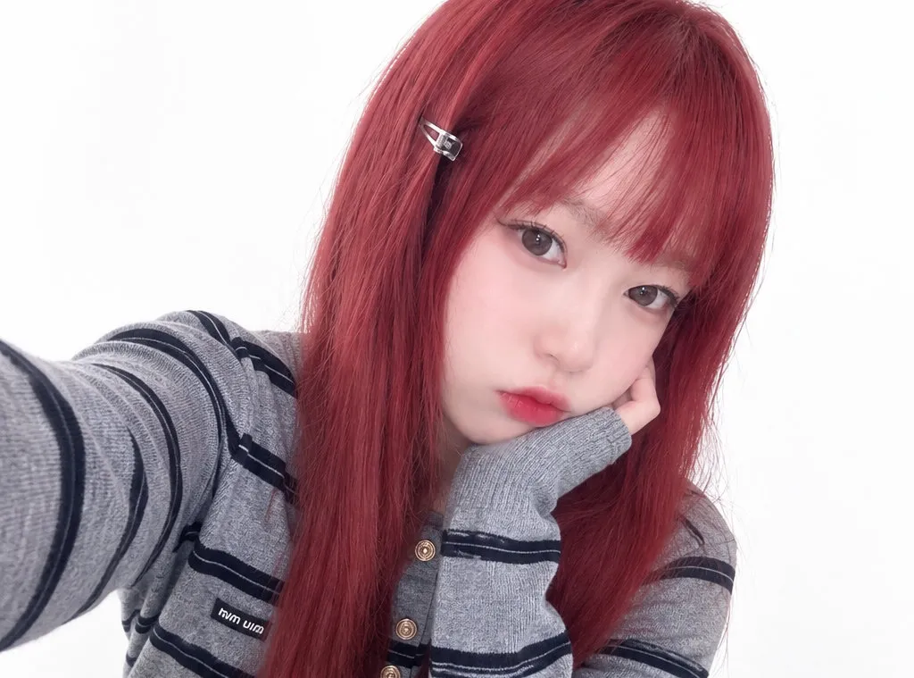 내사진
