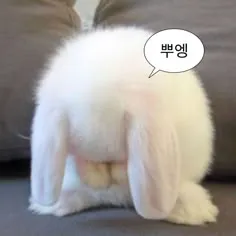 내사진