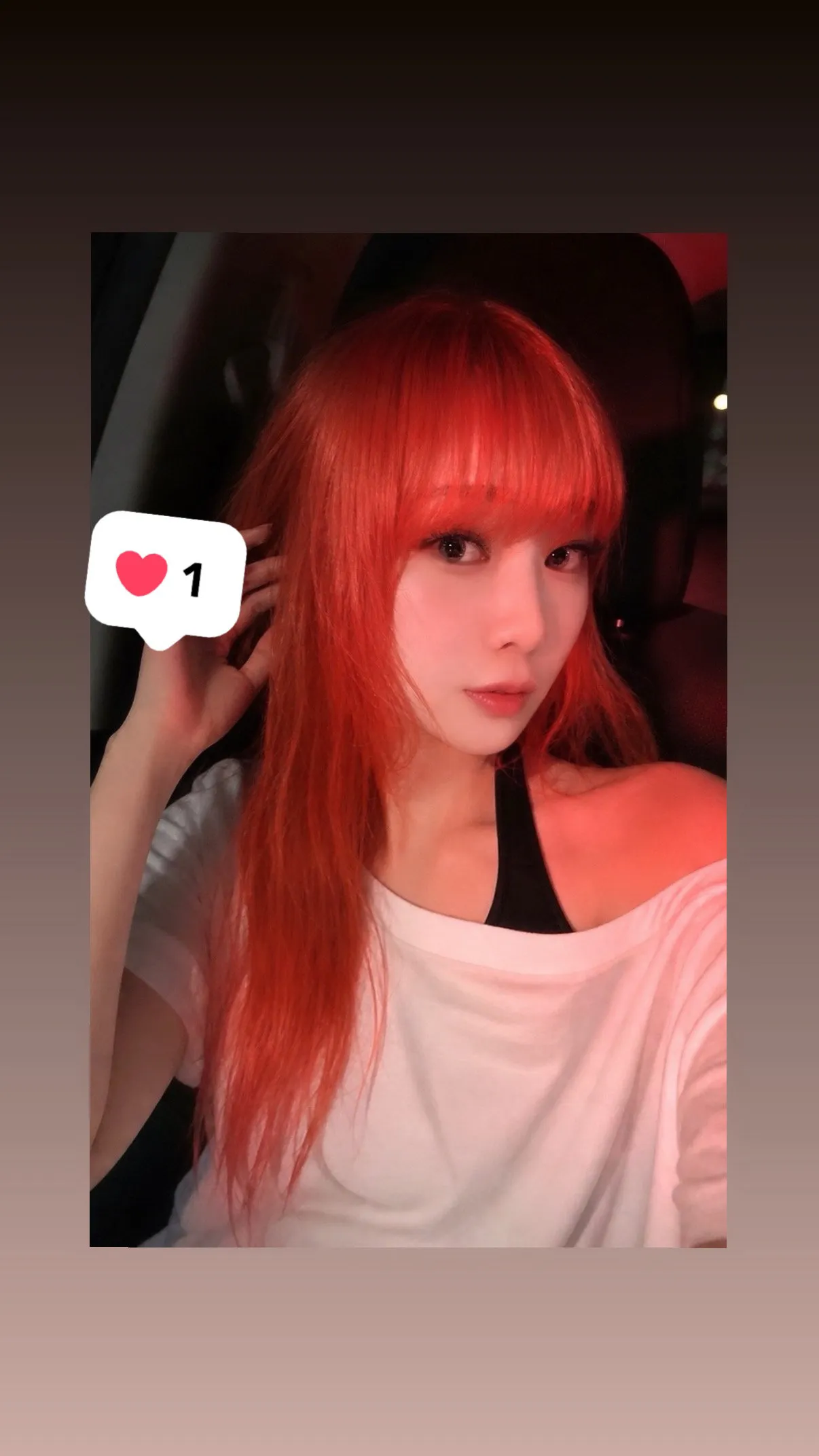 내사진