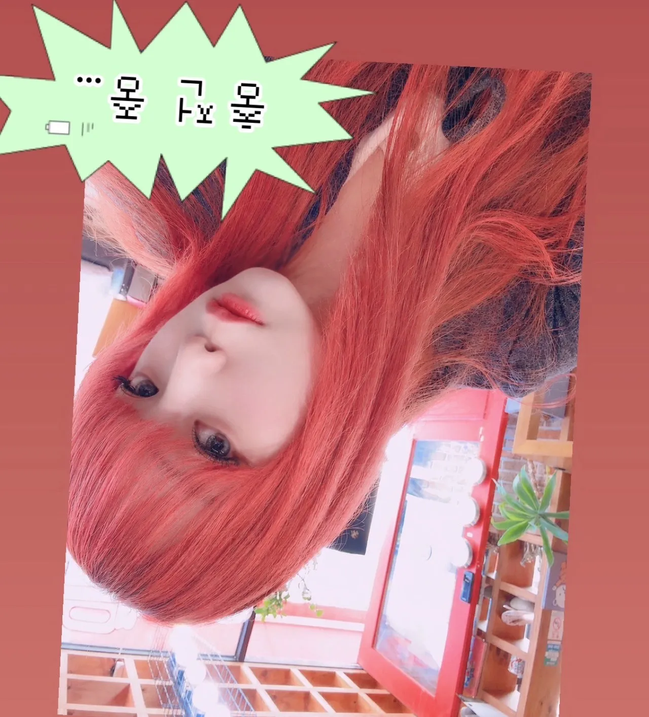 내사진