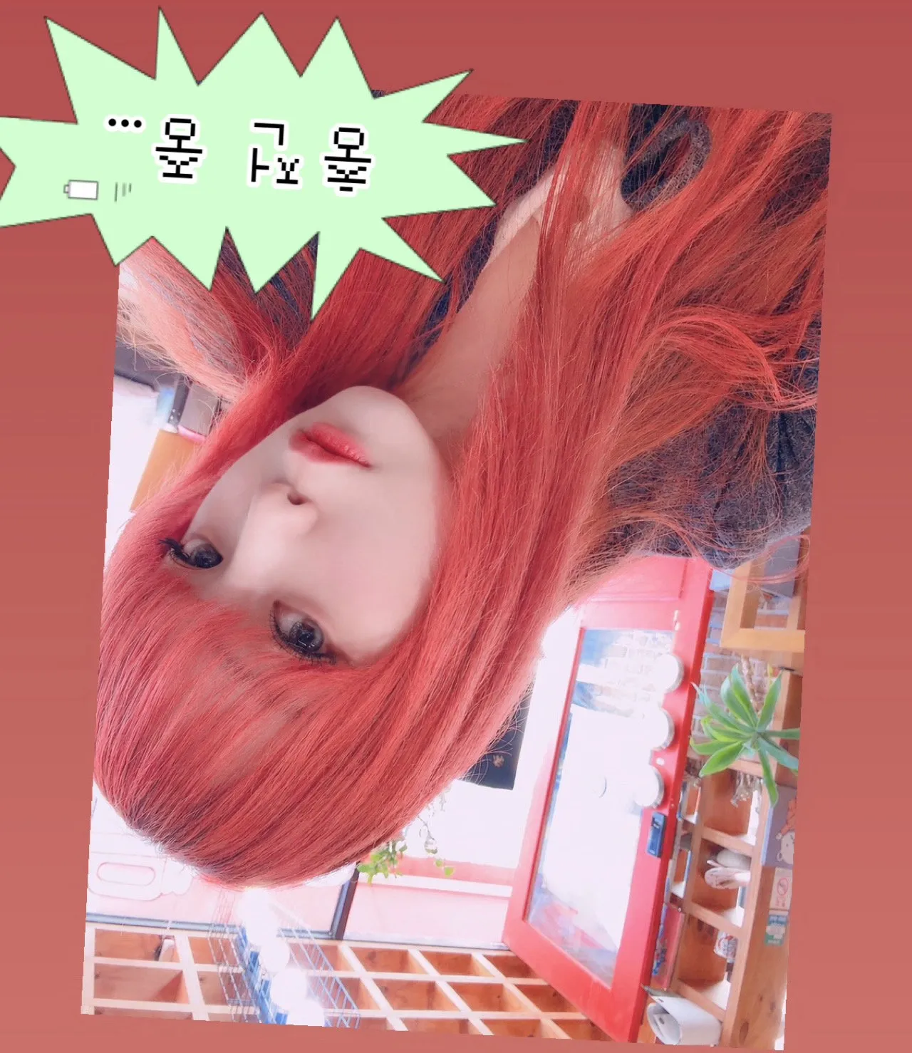 내사진