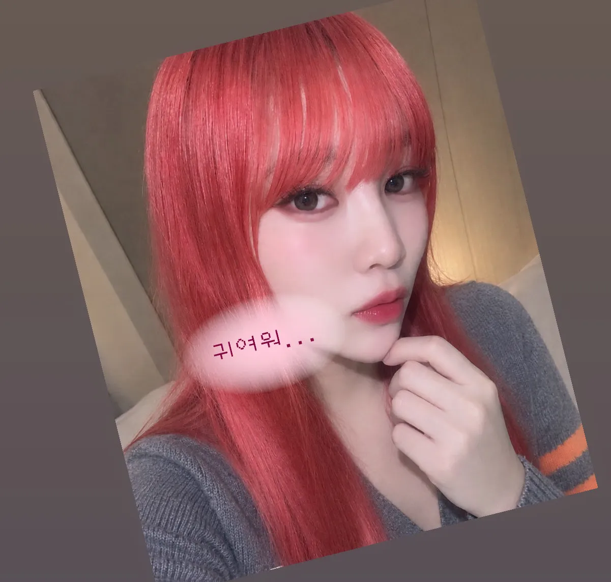 내사진